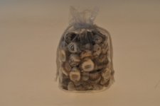 conchiglie
