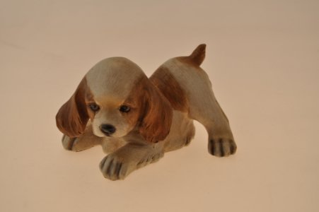 Cane