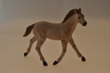 Cavallo