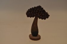 Fungo in legno