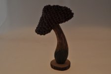 Fungo in legno