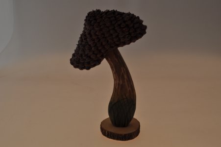 Fungo in legno