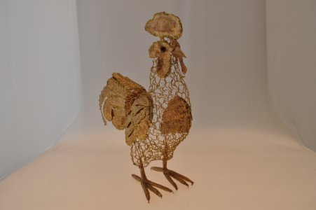 Gallo dorato