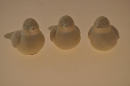 Uccellini assortiti