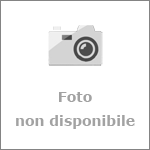 Piatto silver